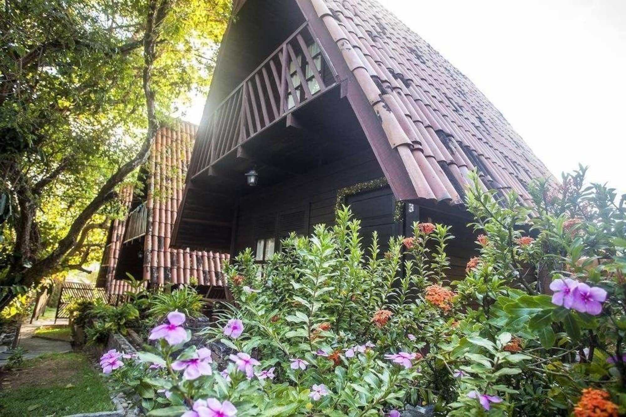 נטאל Chalet Suisse מראה חיצוני תמונה